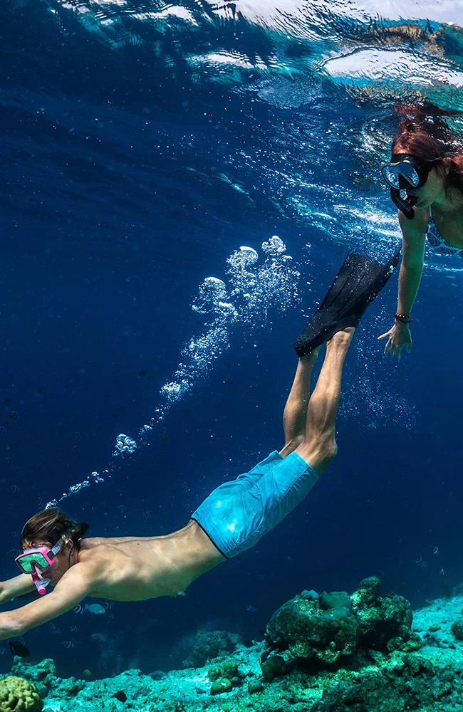 Diving and snorkelling